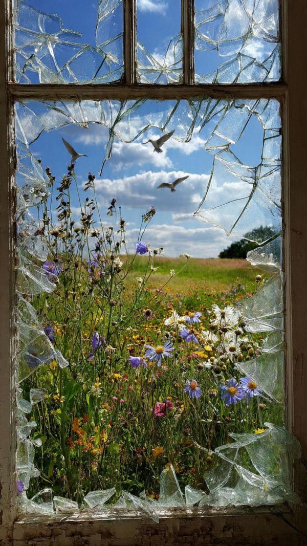 Broken window picture