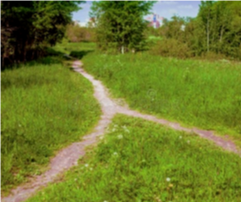 Crossroads