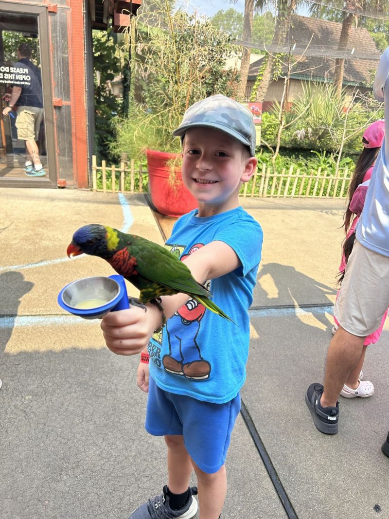 Jack at the zoo