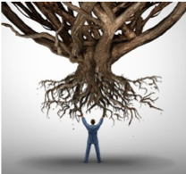 roots