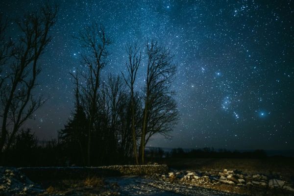 starry night